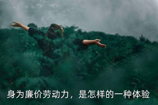 身為廉價(jià)勞動(dòng)力，是怎樣的一種體驗(yàn)
