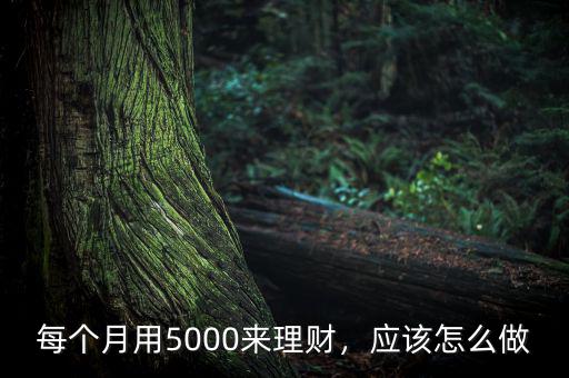 每個(gè)月用5000來(lái)理財(cái)，應(yīng)該怎么做