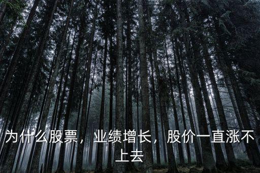 為什么股票，業(yè)績增長，股價一直漲不上去