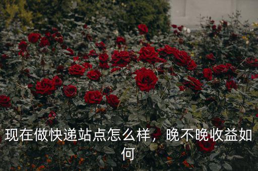 現(xiàn)在做快遞站點怎么樣，晚不晚收益如何
