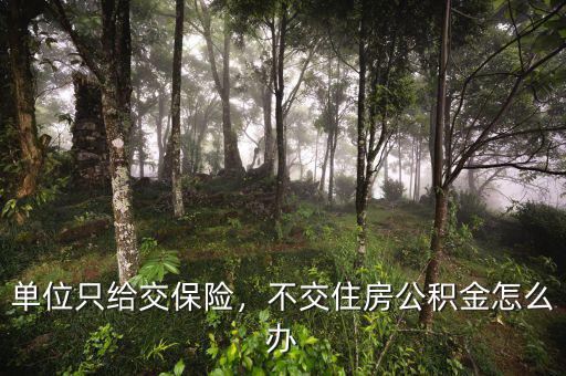 單位只給交保險，不交住房公積金怎么辦