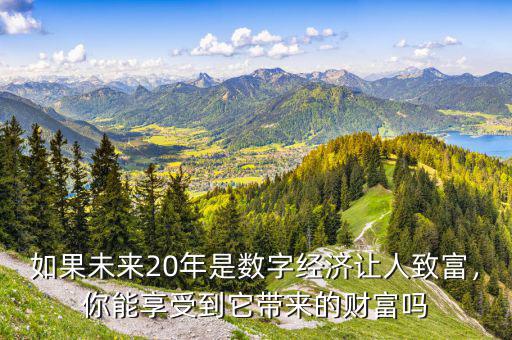 如果未來20年是數(shù)字經(jīng)濟(jì)讓人致富，你能享受到它帶來的財(cái)富嗎