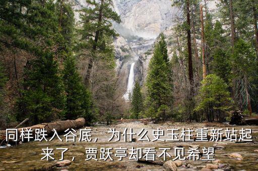 同樣跌入谷底，為什么史玉柱重新站起來了，賈躍亭卻看不見希望
