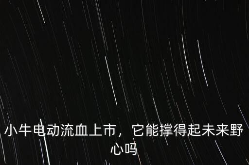 小牛電動流血上市，它能撐得起未來野心嗎