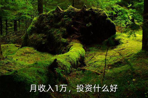 月收入1萬(wàn)，投資什么好