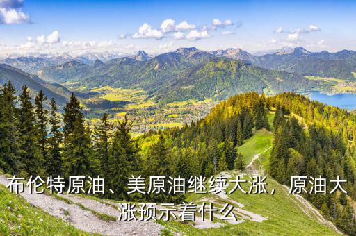布倫特原油、美原油繼續(xù)大漲，原油大漲預(yù)示著什么