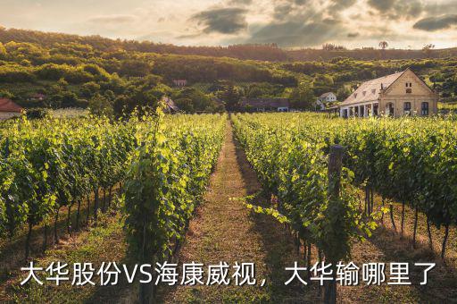 海康威視怎么持有股份,寧德時(shí)代和?？低?/></a></span><span id=