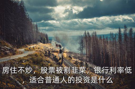 房住不炒，股票被割韭菜，銀行利率低，適合普通人的投資是什么