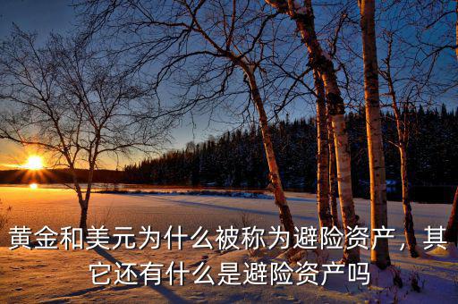 黃金和美元為什么被稱為避險(xiǎn)資產(chǎn)，其它還有什么是避險(xiǎn)資產(chǎn)嗎
