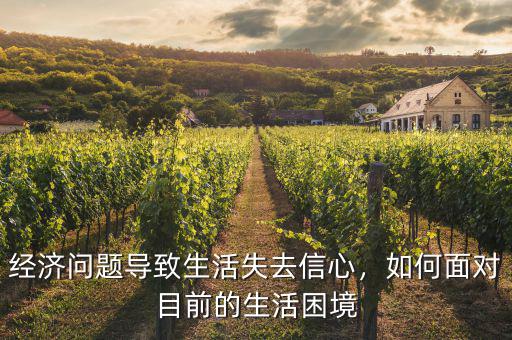 經(jīng)濟(jì)問題導(dǎo)致生活失去信心，如何面對目前的生活困境