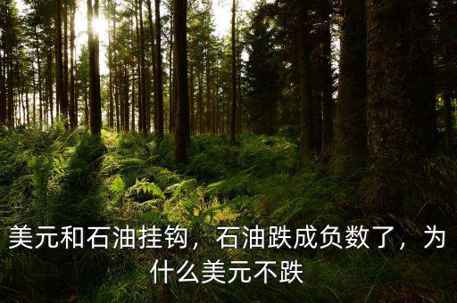 美元和石油掛鉤，石油跌成負數(shù)了，為什么美元不跌