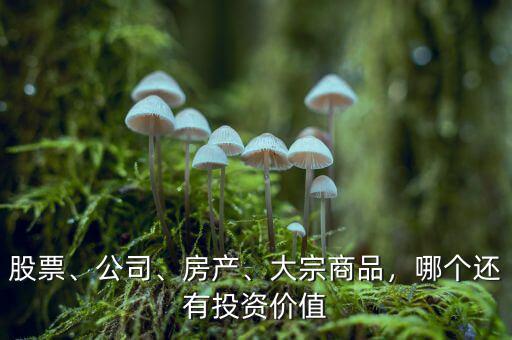 股票、公司、房產(chǎn)、大宗商品，哪個還有投資價值