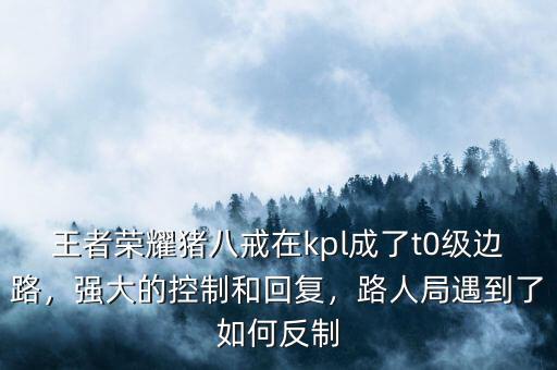 王者榮耀豬八戒在kpl成了t0級(jí)邊路，強(qiáng)大的控制和回復(fù)，路人局遇到了如何反制
