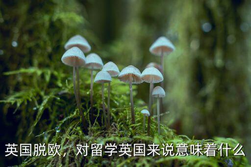 英國脫歐，對(duì)留學(xué)英國來說意味著什么