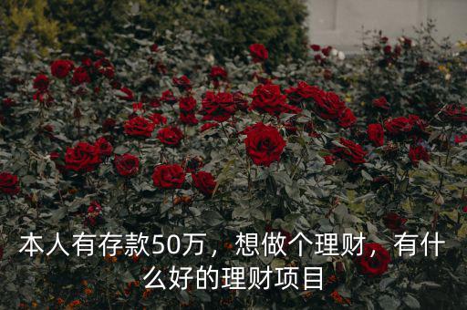 本人有存款50萬，想做個理財，有什么好的理財項目