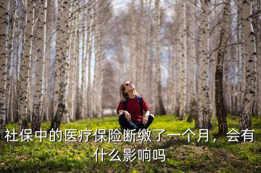 社保中的醫(yī)療保險(xiǎn)斷繳了一個(gè)月，會(huì)有什么影響嗎