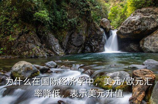 為什么在國(guó)際經(jīng)濟(jì)學(xué)中，美元/歐元匯率降低，表示美元升值