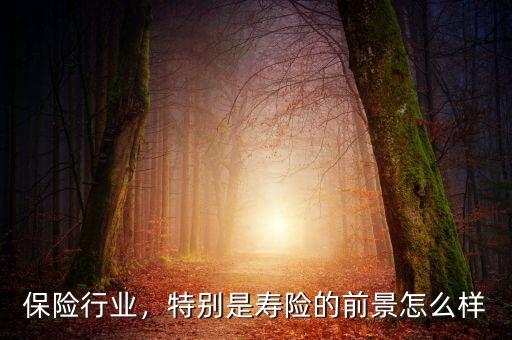 保險行業(yè)，特別是壽險的前景怎么樣