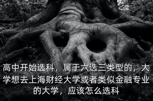 高中開始選科，屬于六選三類型的，大學(xué)想去上海財經(jīng)大學(xué)或者類似金融專業(yè)的大學(xué)，應(yīng)該怎么選科