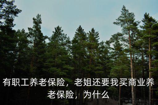 有職工養(yǎng)老保險(xiǎn)，老姐還要我買商業(yè)養(yǎng)老保險(xiǎn)，為什么
