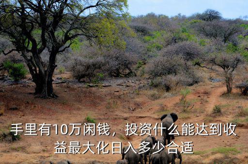 手里有10萬(wàn)閑錢，投資什么能達(dá)到收益最大化日入多少合適