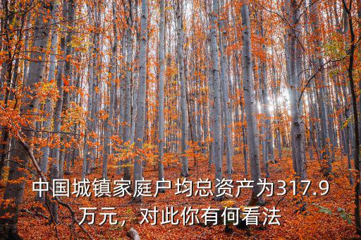 中國城鎮(zhèn)家庭戶均總資產(chǎn)為317.9萬元，對此你有何看法