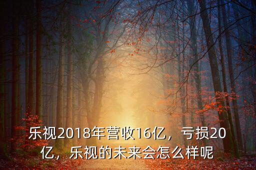 樂視2018年營收16億，虧損20億，樂視的未來會怎么樣呢