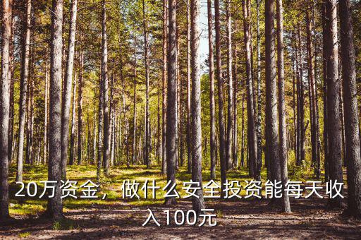 20萬(wàn)資金，做什么安全投資能每天收入100元