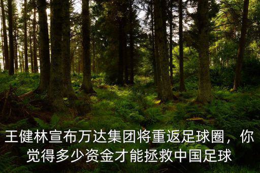 王健林宣布萬達(dá)集團(tuán)將重返足球圈，你覺得多少資金才能拯救中國足球