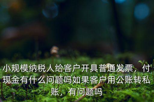 小規(guī)模納稅人給客戶開具普通發(fā)票，付現(xiàn)金有什么問題嗎如果客戶用公賬轉(zhuǎn)私賬，有問題嗎