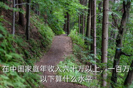 在中國(guó)家庭年收入六十萬(wàn)以上，一百萬(wàn)以下算什么水平
