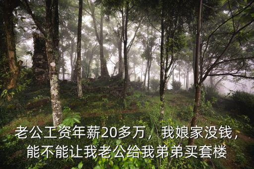 老公工資年薪20多萬(wàn)，我娘家沒(méi)錢，能不能讓我老公給我弟弟買套樓