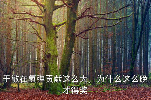 于敏在氫彈貢獻(xiàn)這么大，為什么這么晚才得獎(jiǎng)