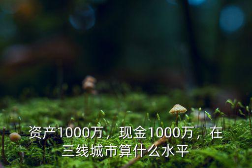 資產(chǎn)1000萬，現(xiàn)金1000萬，在三線城市算什么水平