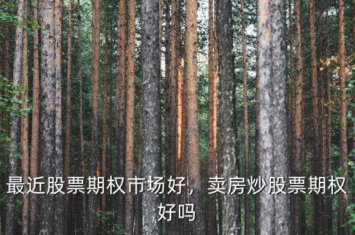 最近股票期權(quán)市場(chǎng)好，賣房炒股票期權(quán)好嗎