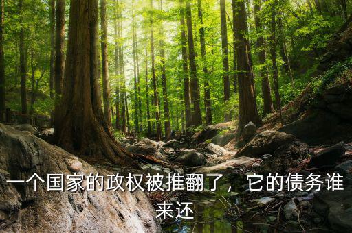 一個國家的政權(quán)被推翻了，它的債務誰來還