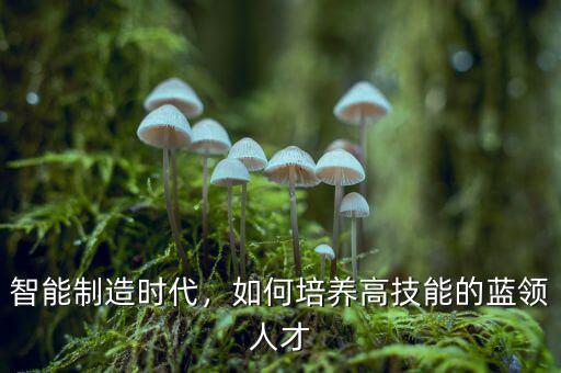 智能制造時代，如何培養(yǎng)高技能的藍(lán)領(lǐng)人才