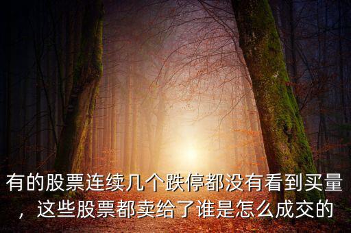 有的股票連續(xù)幾個(gè)跌停都沒(méi)有看到買(mǎi)量，這些股票都賣(mài)給了誰(shuí)是怎么成交的