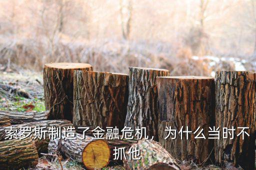 索羅斯制造了金融危機(jī)，為什么當(dāng)時不抓他