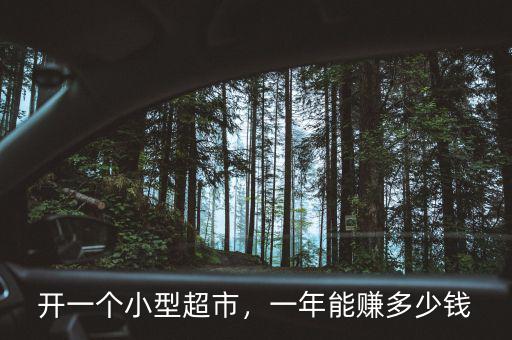 開一個小型超市，一年能賺多少錢