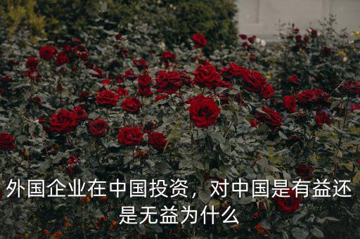 外國(guó)企業(yè)在中國(guó)投資，對(duì)中國(guó)是有益還是無(wú)益為什么