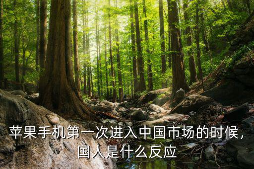 蘋果手機(jī)第一次進(jìn)入中國(guó)市場(chǎng)的時(shí)候，國(guó)人是什么反應(yīng)
