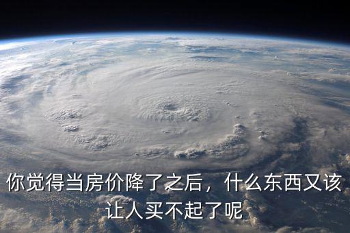 你覺得當(dāng)房價降了之后，什么東西又該讓人買不起了呢