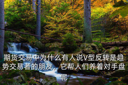 期貨交易中為什么有人說V型反轉是趨勢交易者的朋友，它幫人們養(yǎng)著對手盤呢