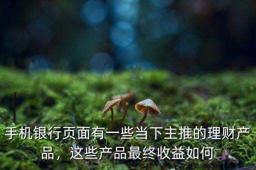 手機銀行頁面有一些當(dāng)下主推的理財產(chǎn)品，這些產(chǎn)品最終收益如何