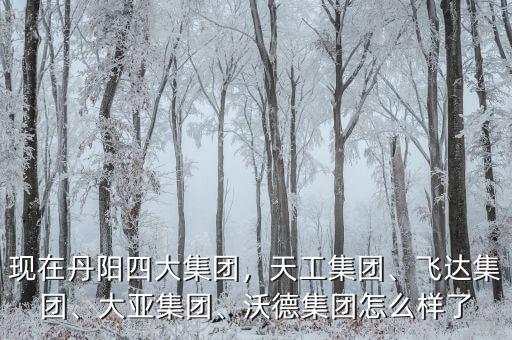 現(xiàn)在丹陽四大集團(tuán)，天工集團(tuán)、飛達(dá)集團(tuán)、大亞集團(tuán)、沃德集團(tuán)怎么樣了