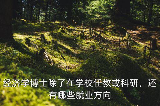 經(jīng)濟(jì)學(xué)博士除了在學(xué)校任教或科研，還有哪些就業(yè)方向