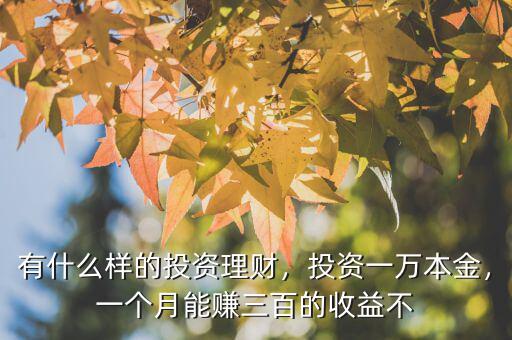 有什么樣的投資理財(cái)，投資一萬本金，一個(gè)月能賺三百的收益不