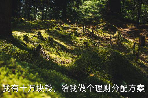我有十萬塊錢，給我做個理財分配方案