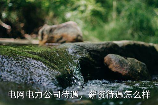 電網(wǎng)電力公司待遇，薪資待遇怎么樣